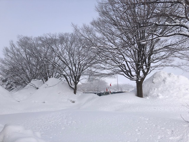 どこで間違えたのかな 横手市議会議員 青山ゆたかの活動日記